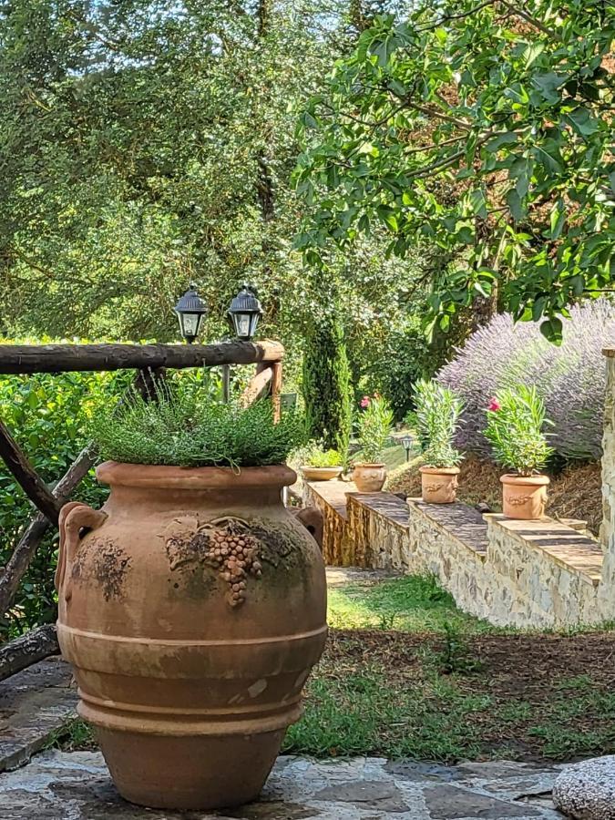 Luxury 1-Bedroom House With The Pool In Tuscany. 安吉亚里 外观 照片
