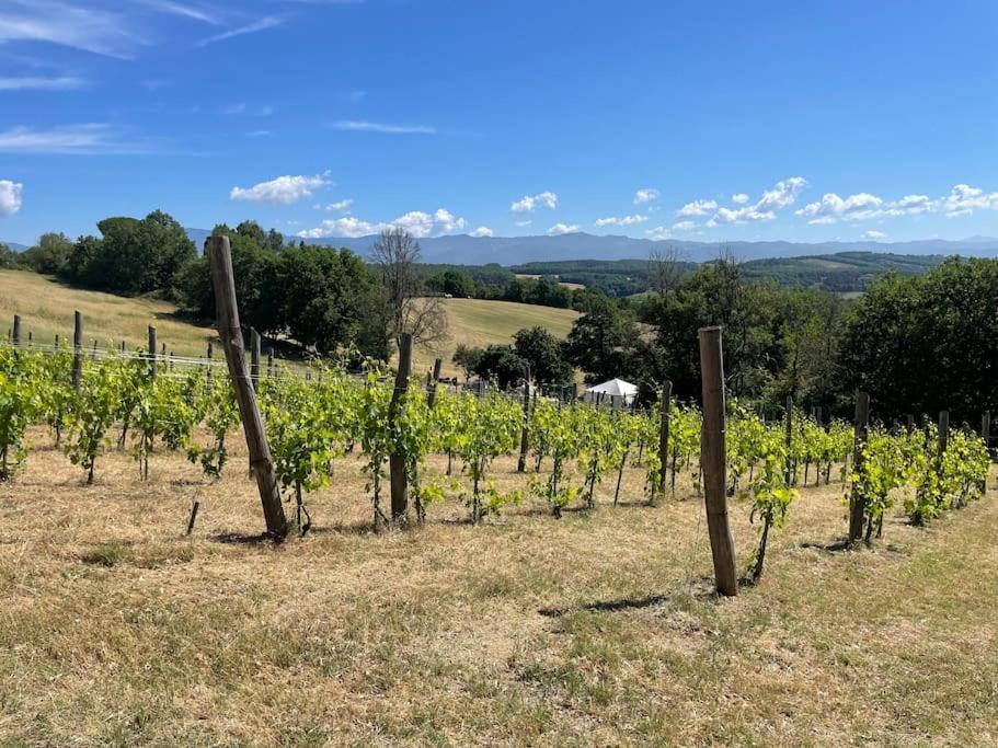 Luxury 1-Bedroom House With The Pool In Tuscany. 安吉亚里 外观 照片