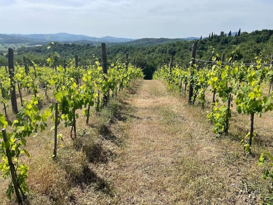 Luxury 1-Bedroom House With The Pool In Tuscany. 安吉亚里 外观 照片