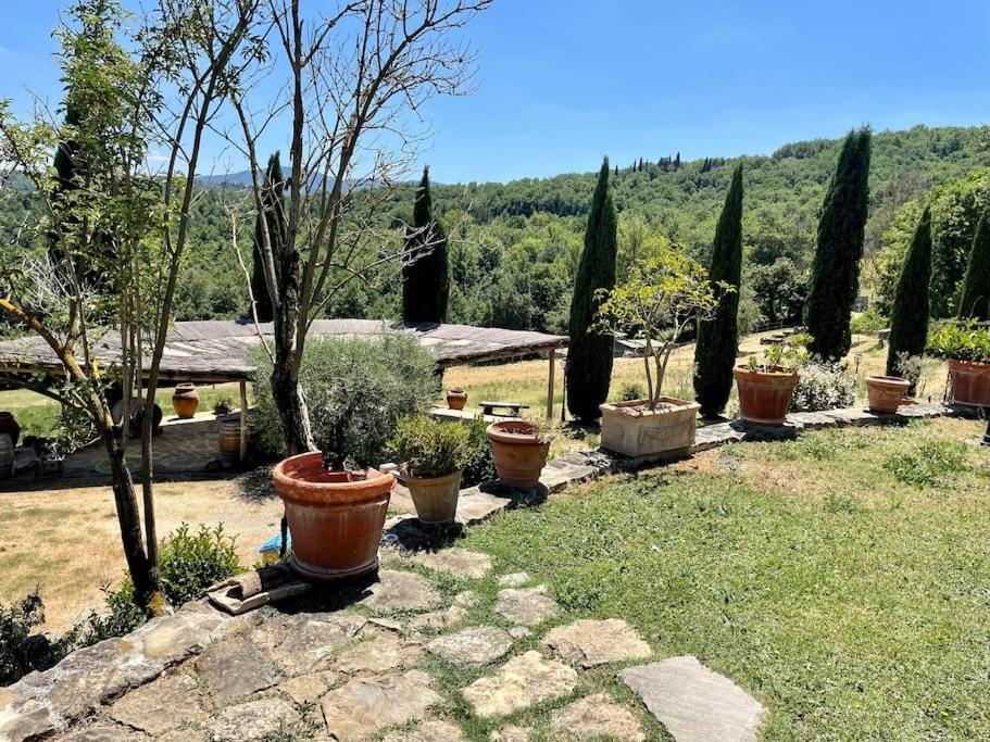 Luxury 1-Bedroom House With The Pool In Tuscany. 安吉亚里 外观 照片