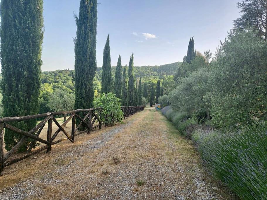 Luxury 1-Bedroom House With The Pool In Tuscany. 安吉亚里 外观 照片