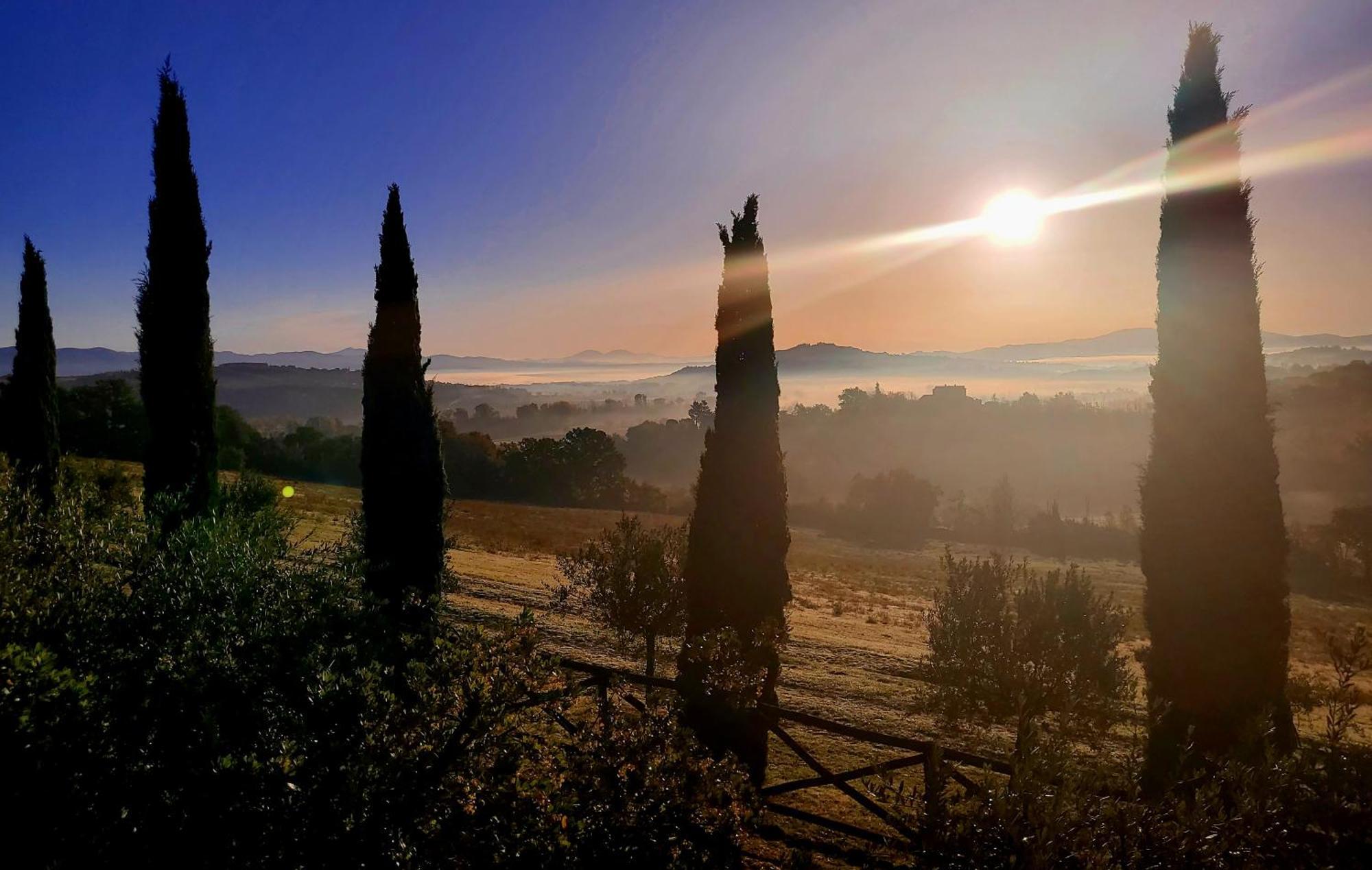 Luxury 1-Bedroom House With The Pool In Tuscany. 安吉亚里 外观 照片