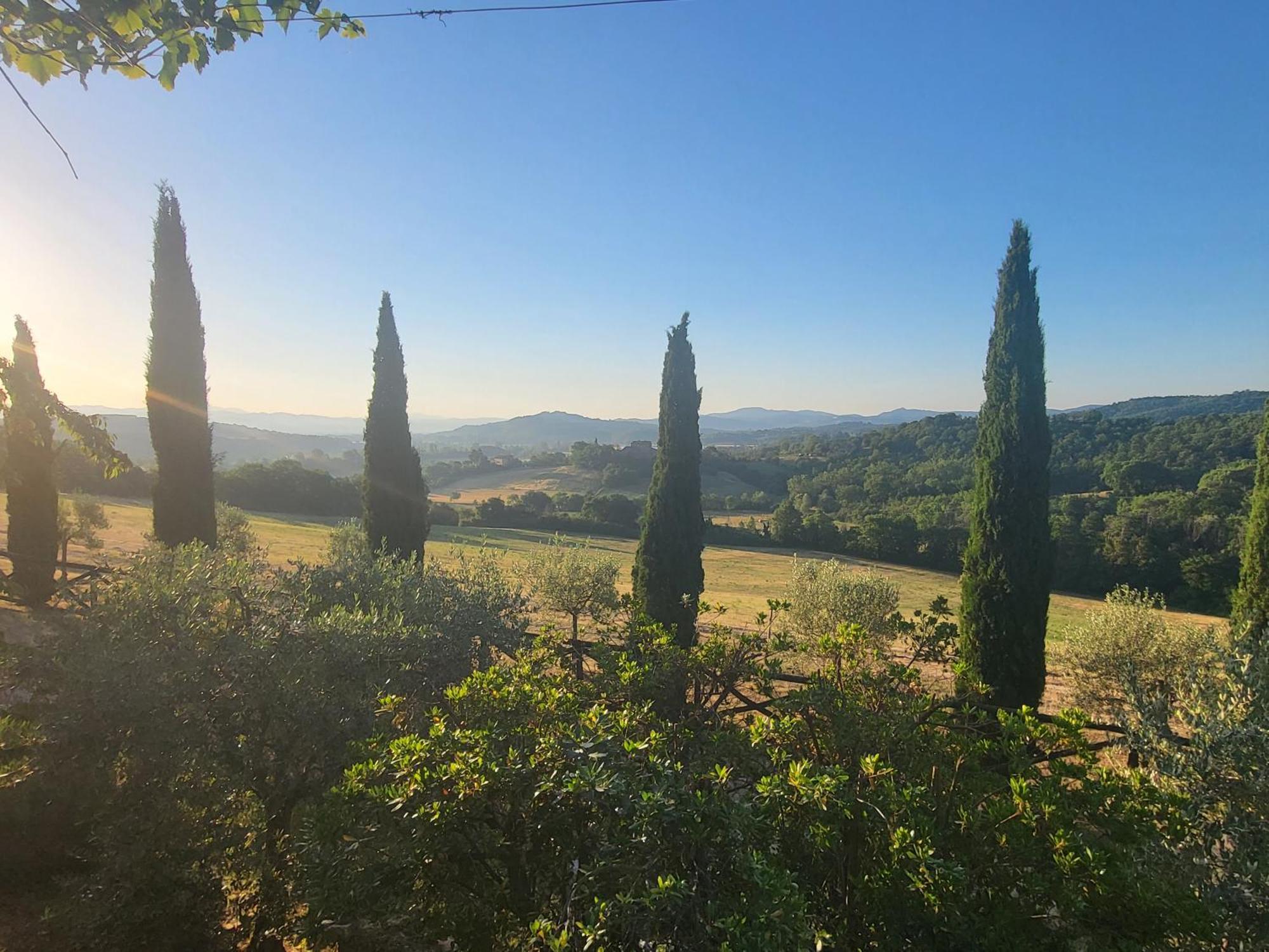 Luxury 1-Bedroom House With The Pool In Tuscany. 安吉亚里 外观 照片
